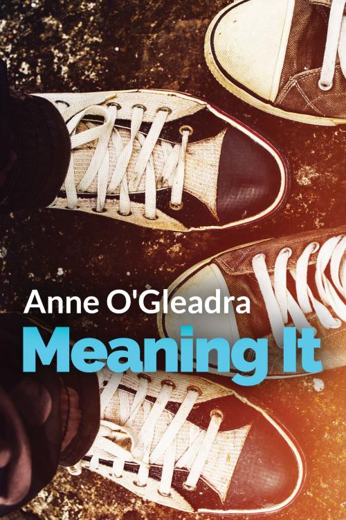 Cover of the book Meaning It by Anne O'Gleadra, Beaten Track Publishing