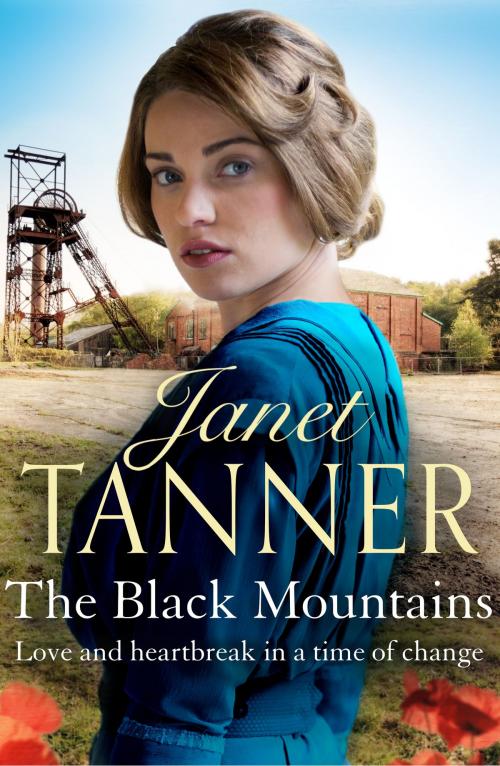Cover of the book The Black Mountains by Janet Tanner, Canelo