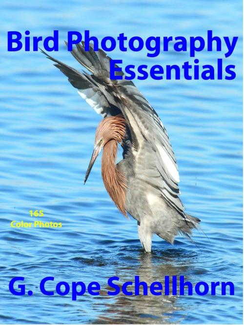 Cover of the book Bird Photography Essentials by G. Cope Schellhorn, BookBaby