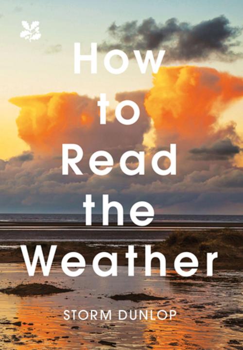 Cover of the book How to Read the Weather by Storm Dunlop, Pavilion Books