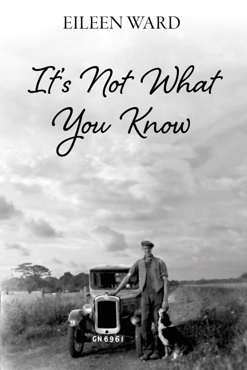 Cover of the book It's Not What You Know by Eileen Ward, Spiderwize