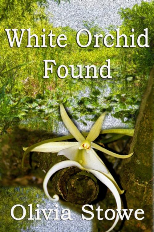 Cover of the book White Orchid Found by Olivia Stowe, Cyberworld Publishing