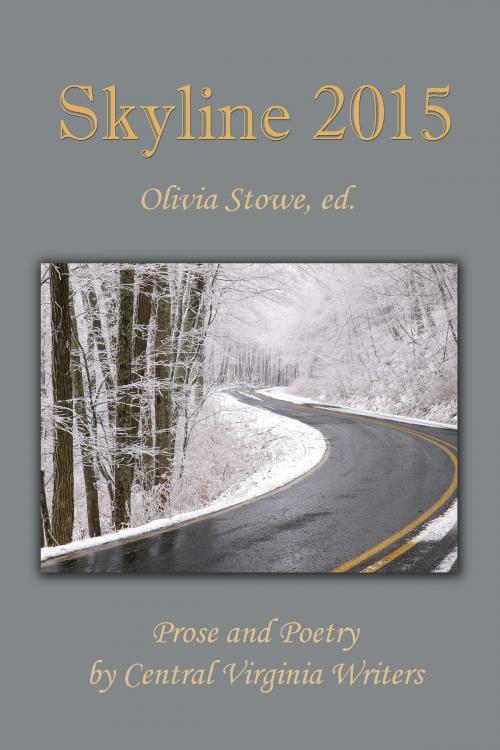 Cover of the book Skyline 2015 by Olivia Stowe, Cyberworld Publishing