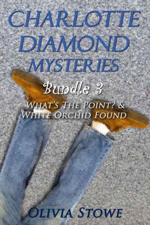 Cover of the book Charlotte Diamond Mysteries by Olivia Stowe, Cyberworld Publishing