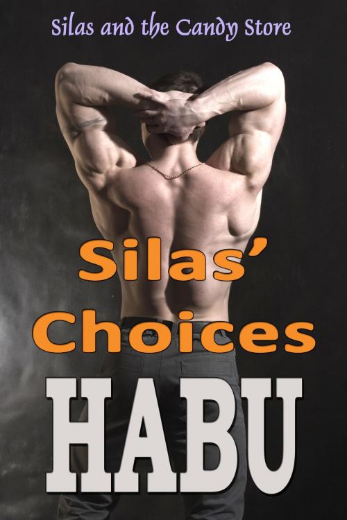 Cover of the book Silas’ Choices by habu, BarbarianSpy