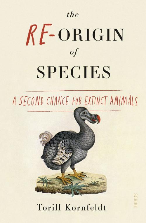 Cover of the book The Re-Origin of Species by Torill Kornfeldt, Scribe Publications Pty Ltd