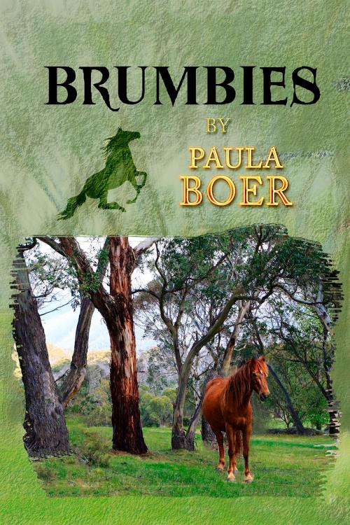 Cover of the book Brumbies by Paula Boer, IFWG Publishing International