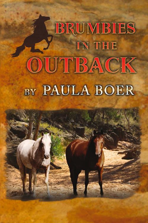 Cover of the book Brumbies in the Outback by Paula Boer, IFWG Publishing International