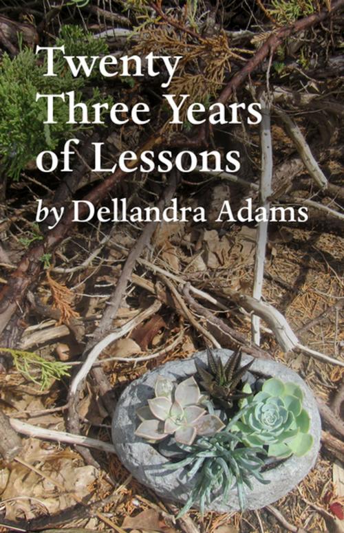 Cover of the book Twenty Three Years of Lessons by Dellandra Adams, Tablo Publishing