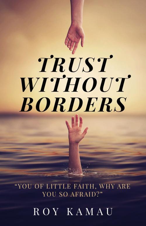Cover of the book Trust Without Borders by Roy Kamau, Tablo Publishing