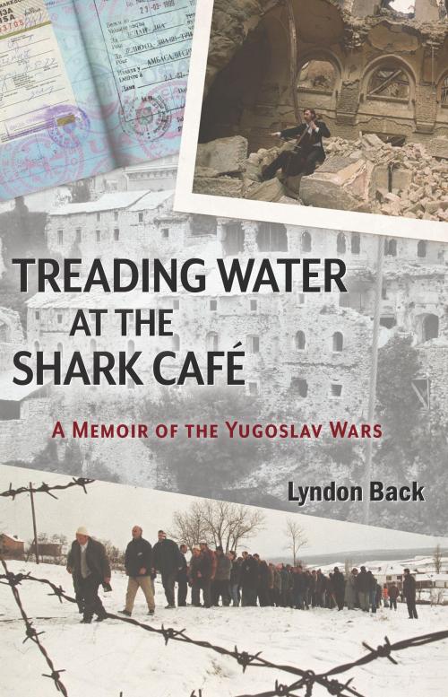 Cover of the book Treading Water at the Shark Café: A Memoir of the Yugoslav Wars by Lyndon Back, Open Books Press