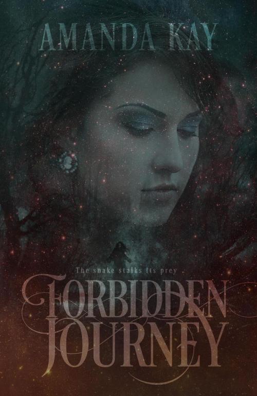 Cover of the book Forbidden Journey by Amanda Kay, Amanda Kay