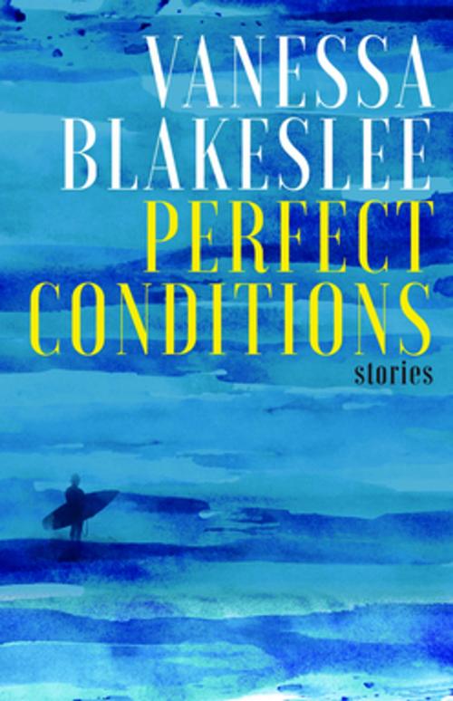 Cover of the book Perfect Conditions by Vanessa Blakeslee, Curbside Splendor Publishing