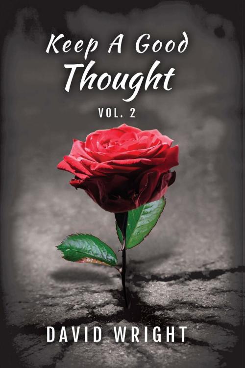 Cover of the book Keep a Good Thought, Volume 2 by David Wright, DIPS Publishing