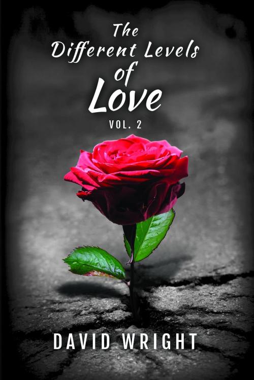Cover of the book The Different Levels of Love, Volume 2 by David Wright, DIPS Publishing