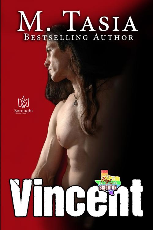 Cover of the book Vincent by M Tasia, Boroughs Publishing Group