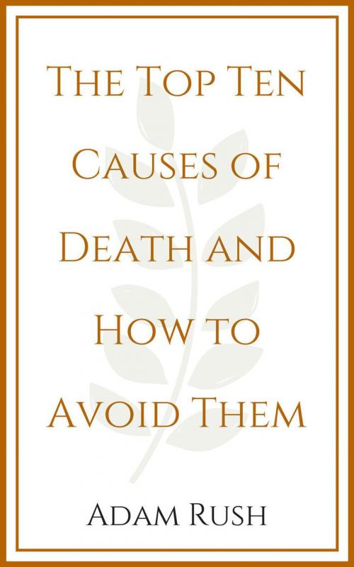 Cover of the book The Top Ten Causes of Death and How to Avoid Them by Adam Rush, StormShock Press