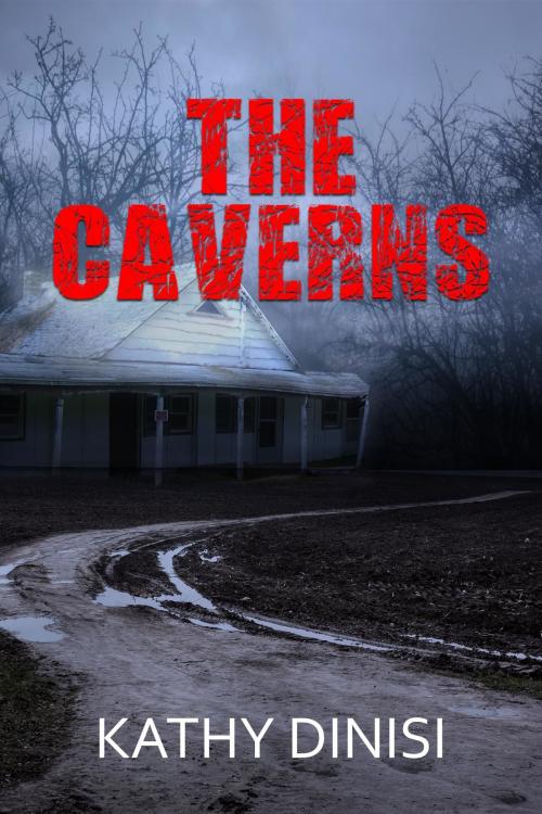 Cover of the book The Caverns by Kathy Dinisi, Kingston Publishing Company
