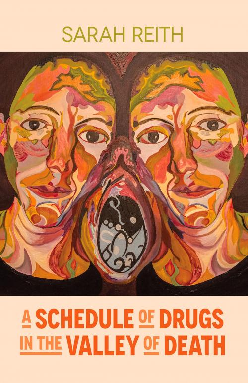 Cover of the book A Schedule of Drugs in the Valley of Death by Sarah Reith, Bedazzled Ink Publishing
