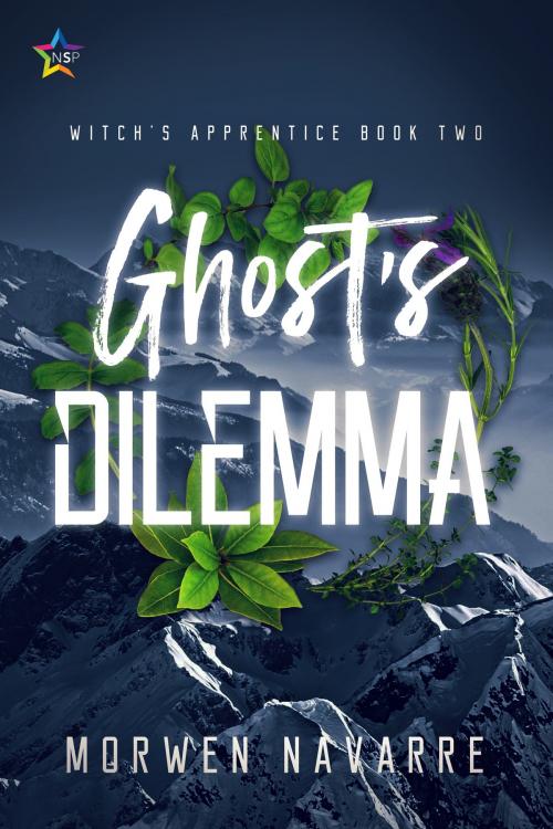 Cover of the book Ghost's Dilemma by Morwen Navarre, Nine Star Press