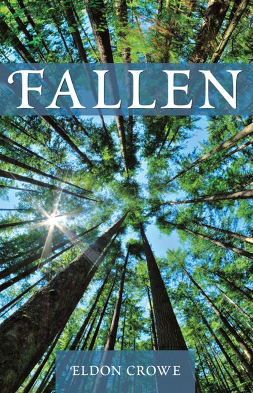 Cover of the book Fallen by Eldon Crowe, WestBow Press