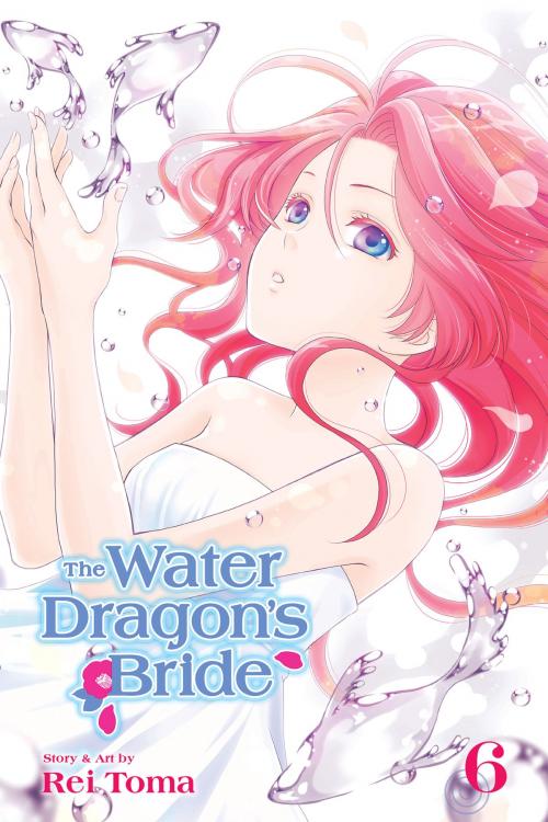 Cover of the book The Water Dragon’s Bride, Vol. 6 by Rei Toma, VIZ Media