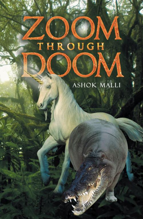 Cover of the book Zoom Through Doom by Ashok Malli, Xlibris US