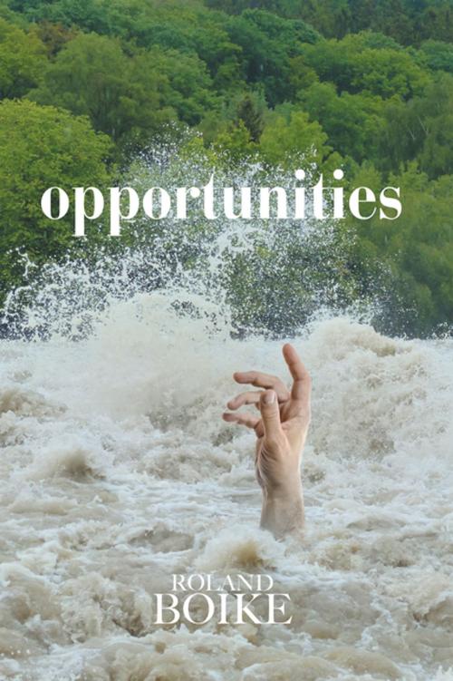 Cover of the book Opportunities by Roland Boike, Xlibris US