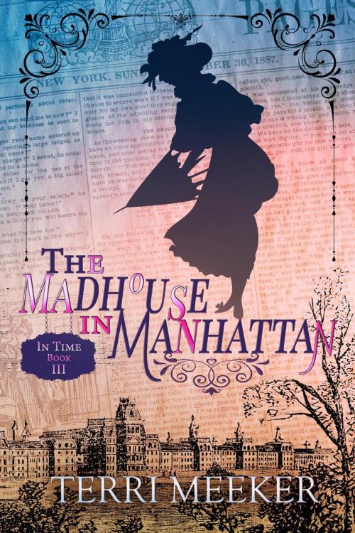 Cover of the book The Madhouse in Manhattan by Terri Meeker, Terri Meeker