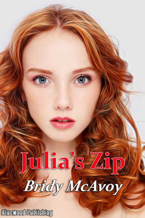 Cover of the book Julia's Zip by Bridy McAvoy, Bluewood Publishing