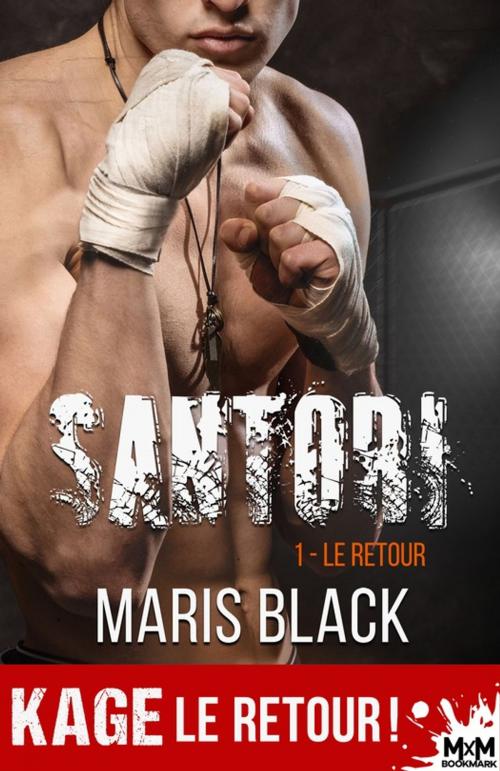Cover of the book Le retour by Maris Black, MxM Bookmark