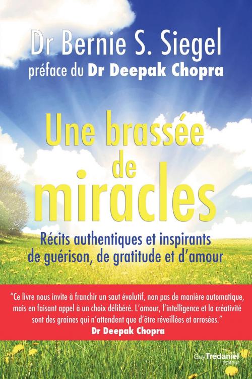 Cover of the book Une brassée de miracles by Docteur Bernie S. Siegel, Guy Trédaniel