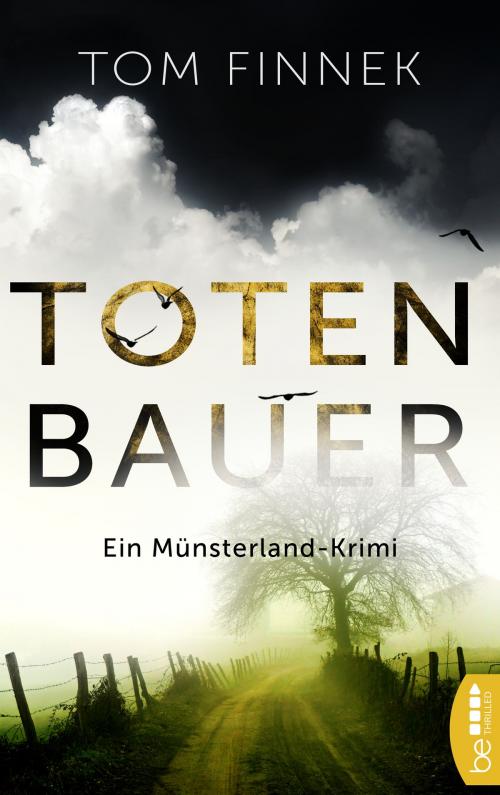 Cover of the book Totenbauer by Tom Finnek, beTHRILLED