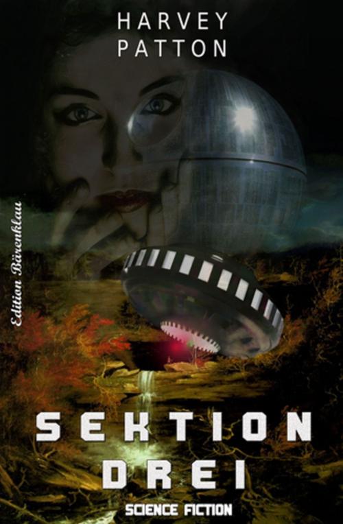 Cover of the book Sektion drei by Harvey Patton, Uksak E-Books