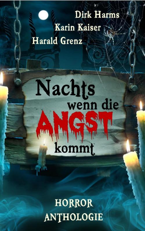Cover of the book Nachts wenn die Angst kommt by Karin Kaiser, Dirk Harms, Harald Grenz, BookRix