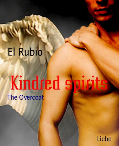 Cover of the book Kindred spirits by El Rubio, BookRix