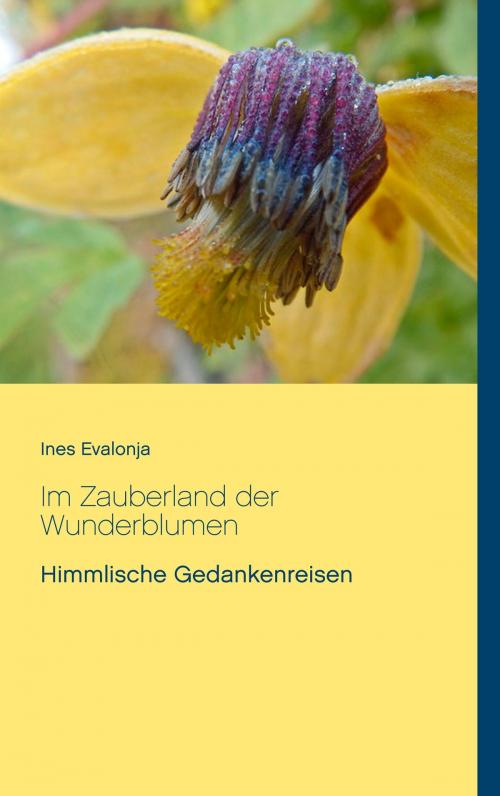 Cover of the book Im Zauberland der Wunderblumen by Ines Evalonja, Books on Demand