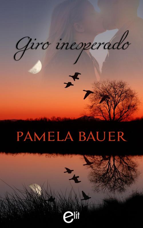 Cover of the book Giro inesperado by Pamela Bauer, Harlequin, una división de HarperCollins Ibérica, S.A.