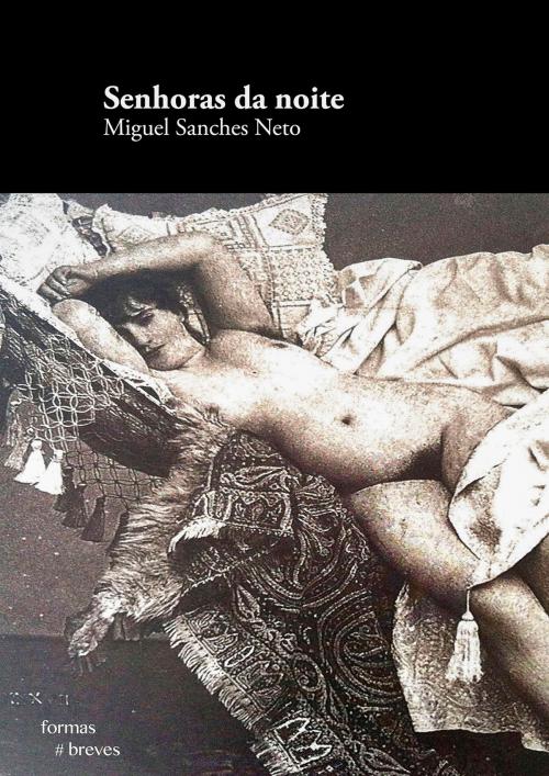 Cover of the book Senhoras da noite by Miguel Sanches Neto, e-galáxia