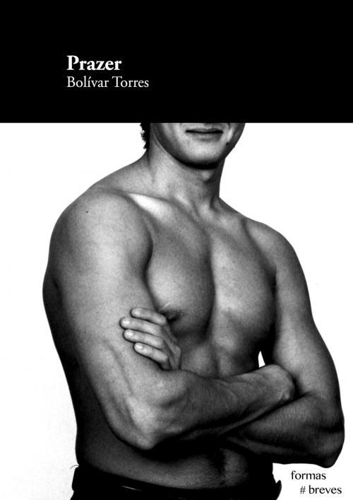 Cover of the book Prazer by Bolívar Torres, e-galáxia