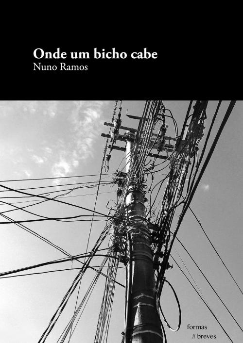 Cover of the book Onde um bicho cabe by Nuno Ramos, e-galáxia