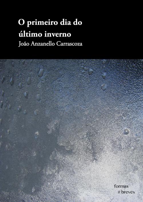Cover of the book O primeiro dia do último inverno by João Anzanello Carrascoza, e-galáxia