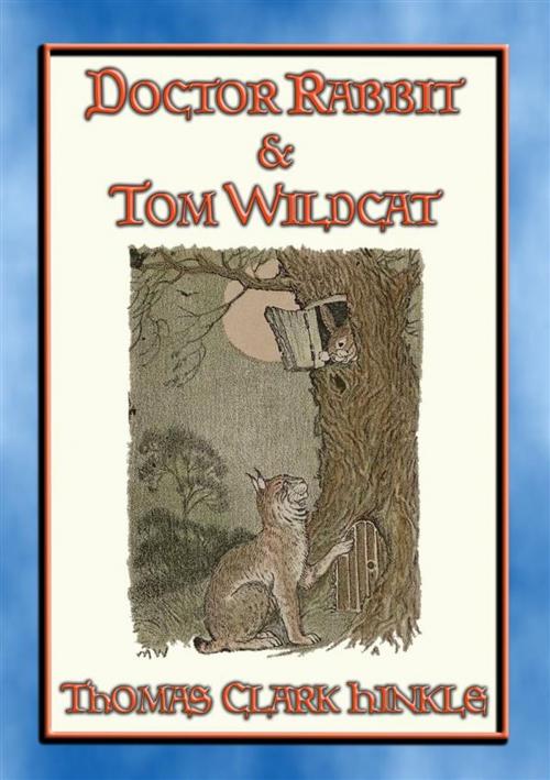 Cover of the book DOCTOR RABBIT and TOM WILDCAT - An illustrated story in the style of Peter Rabbit and Friends by Thomas Clark Hinkle, Abela Publishing