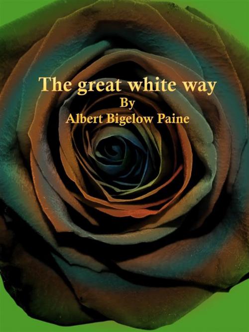 Cover of the book The great white way by Albert Bigelow Paine, Publisher s11838