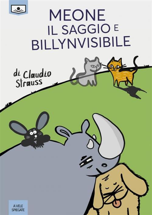 Cover of the book Meone il Saggio e Billynvisibile by Claudio Strauss, Le Mezzelane Casa Editrice
