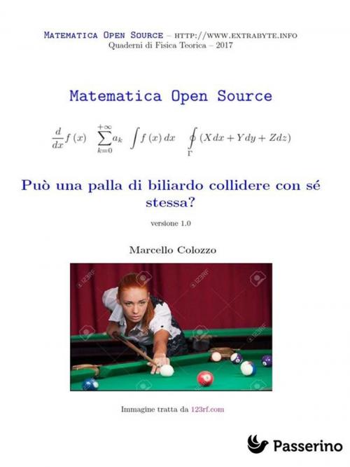 Cover of the book Può una palla di biliardo collidere con sé stessa? by Marcello Colozzo, Passerino