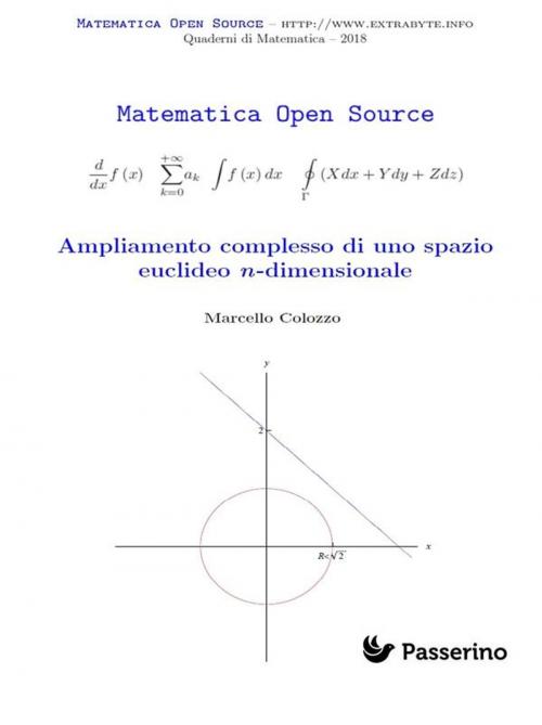 Cover of the book Ampliamento complesso di uno spazio euclideo n-dimensionale by Marcello Colozzo, Passerino