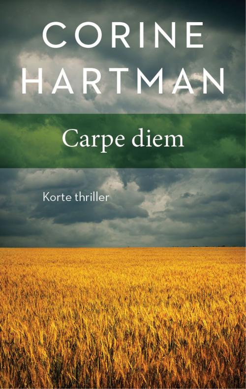 Cover of the book Carpe diem by Corine Hartman, Ambo/Anthos B.V.