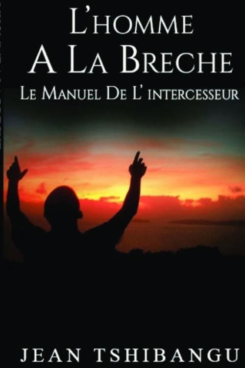 Cover of the book L'HOMME A LA BRECHE by JEAN  TSHIBANGU, Bookelis