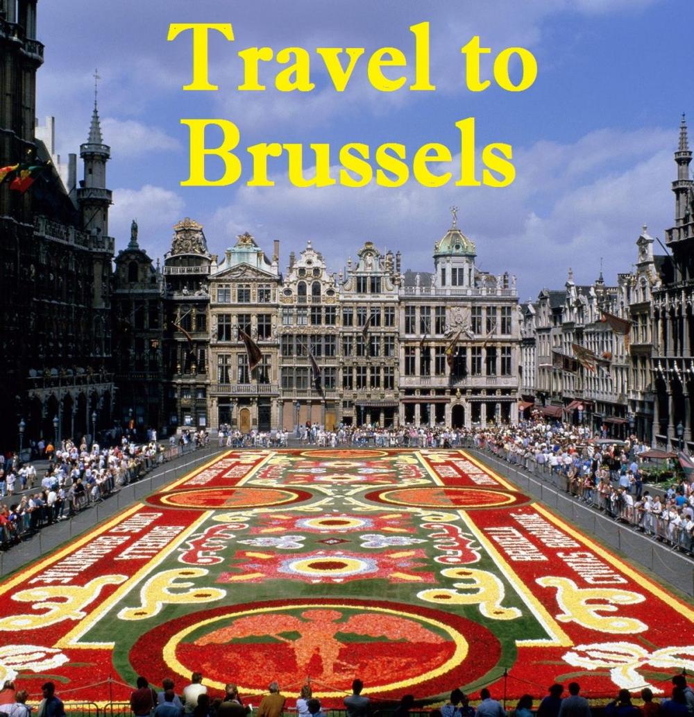 Big bigCover of Travel to Brussels